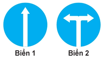 Hình ảnh câu hỏi 19
