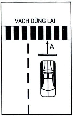 Bài 2: Dừng Xe Nhường Đường Cho Người Đi Bộ