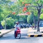 Luật thi bằng lái xe máy mới nhất theo quy định của Bộ 9